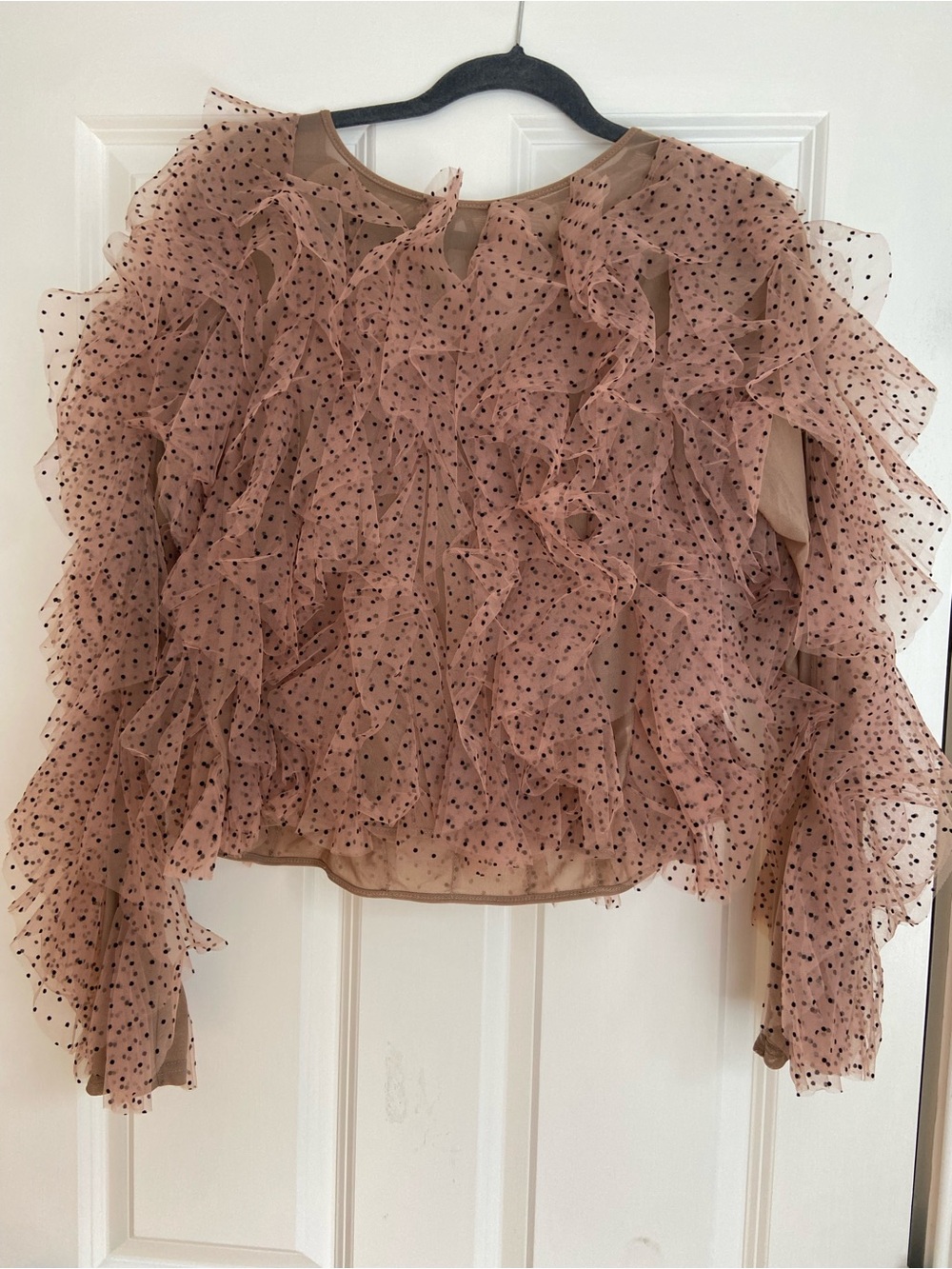 Ruffled Polka Dot Sheer Blouse - Dusty Rose